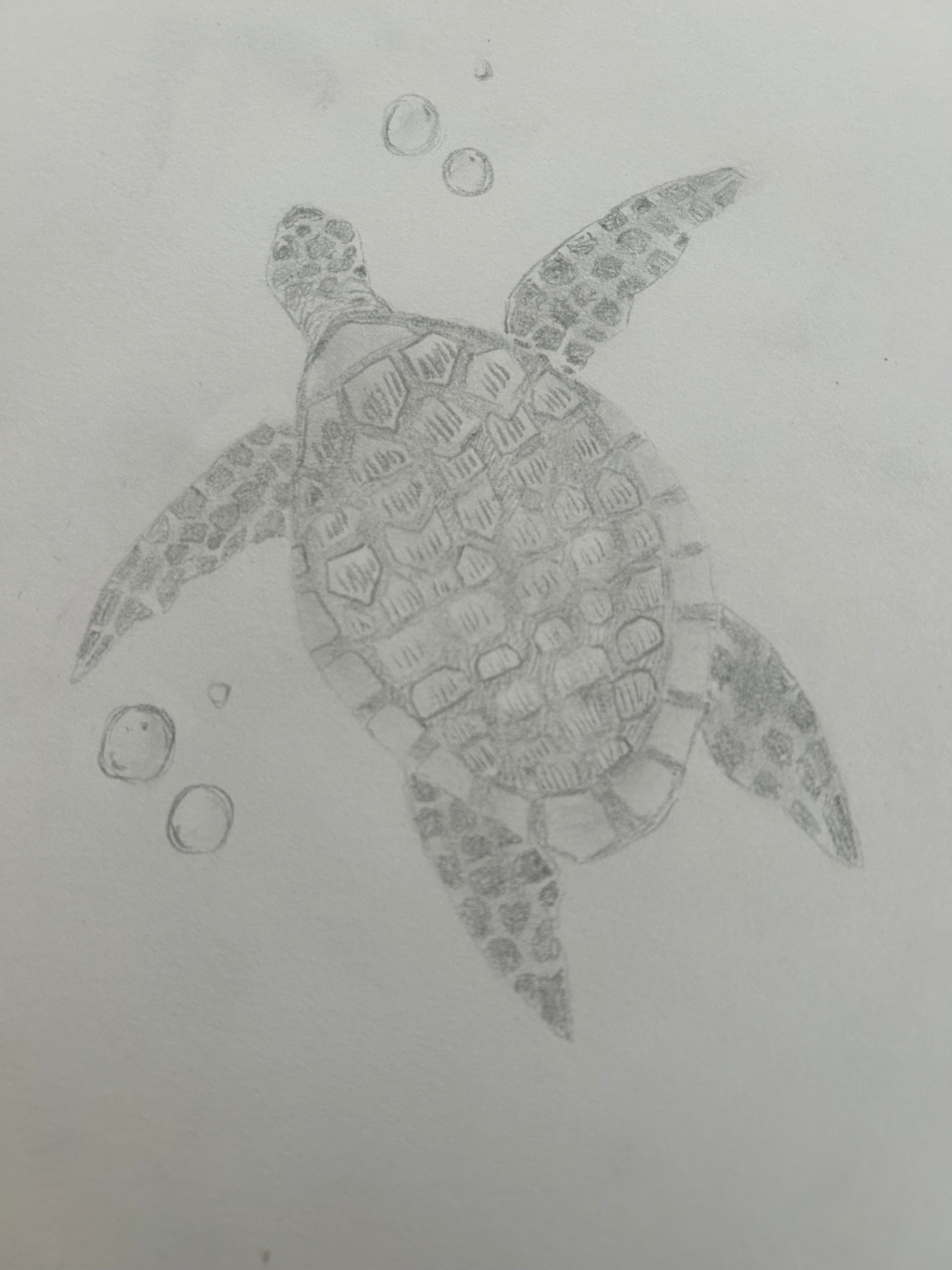 realistic animal/items commissions